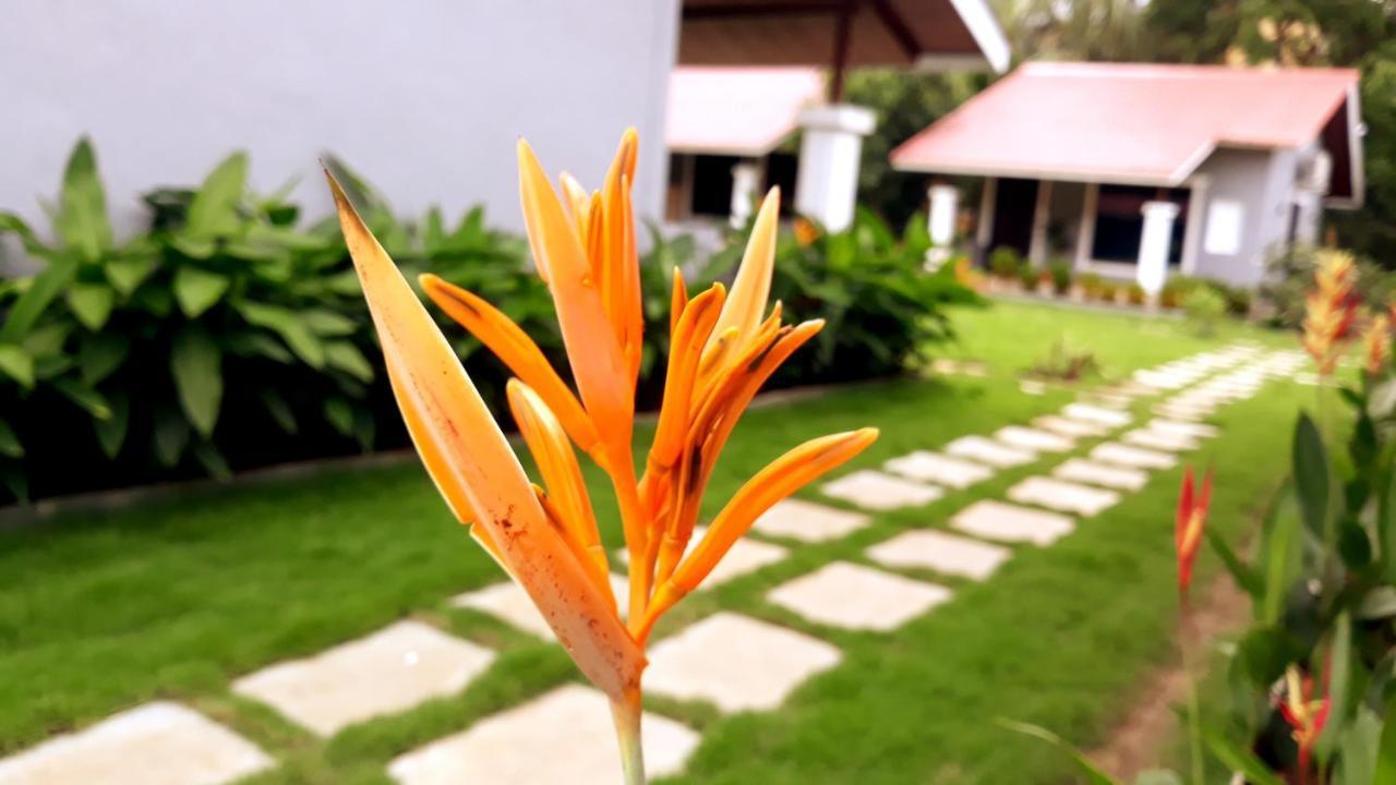 Arcadia Resort Alibaug Alībāg Exteriér fotografie